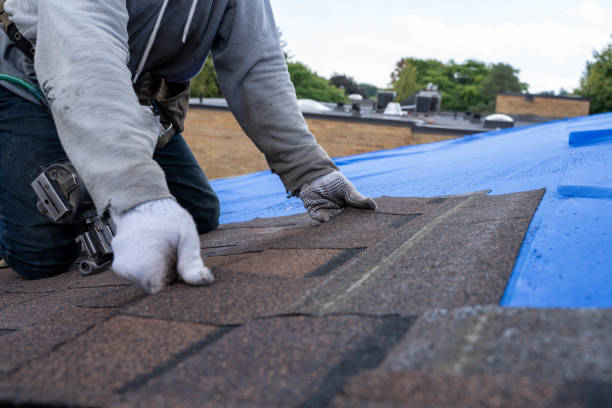 Best Flat Roof Repair Services  in Lake Placid, FL