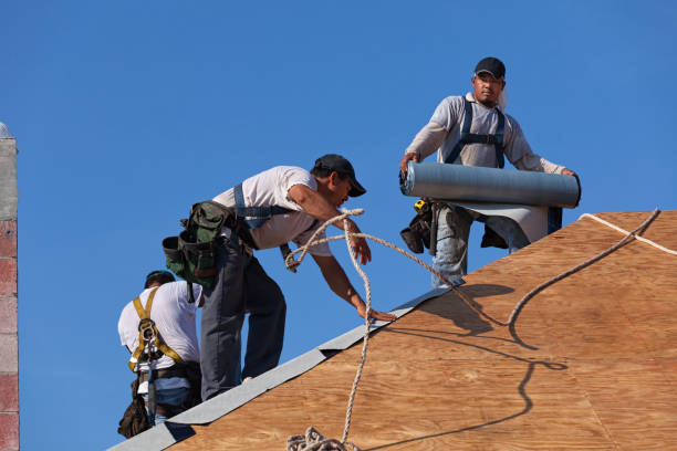 Best Roof Waterproofing Services  in Lake Placid, FL